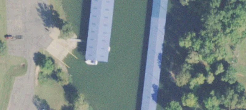 100 Lacey Tyler Loop