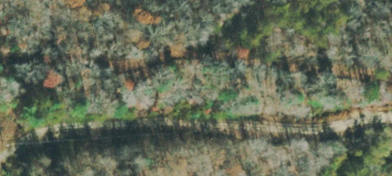 Helenwood Detour Rd