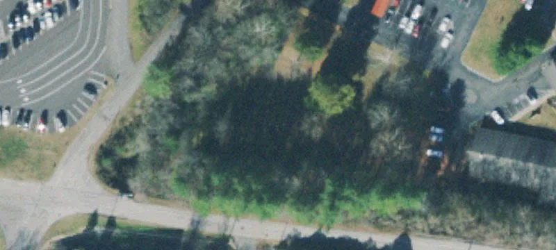 Dickson Rd