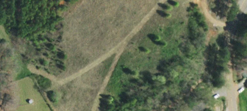Davy Crockett Pkwy