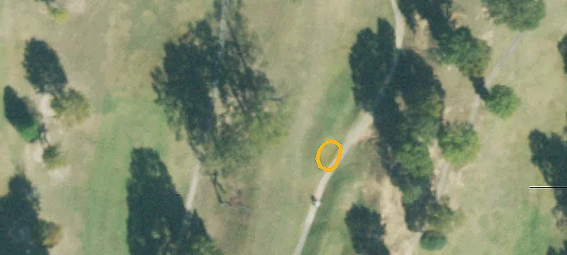 253 Henderson Rd