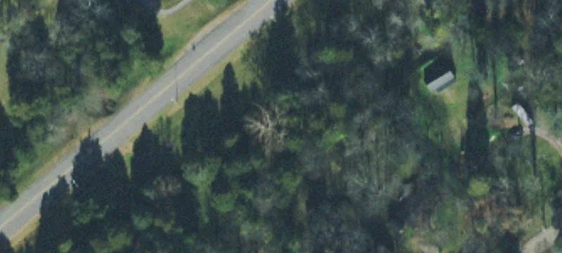 1029 Neelys Bnd Rd