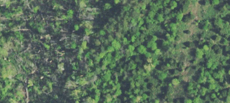 Apison Pike