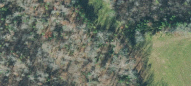 300 Rush Branch Rd