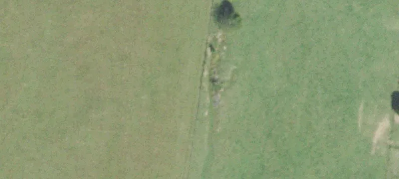 Bethel Rd