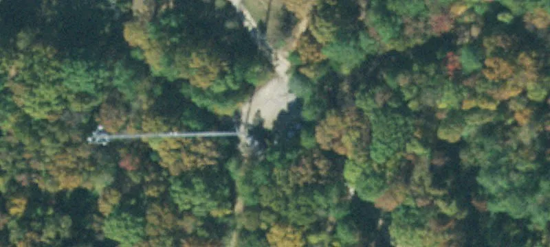 Old Jackson Rd
