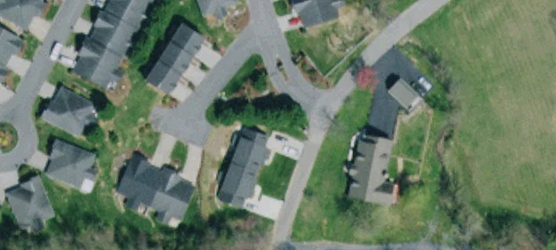 Dove Ln