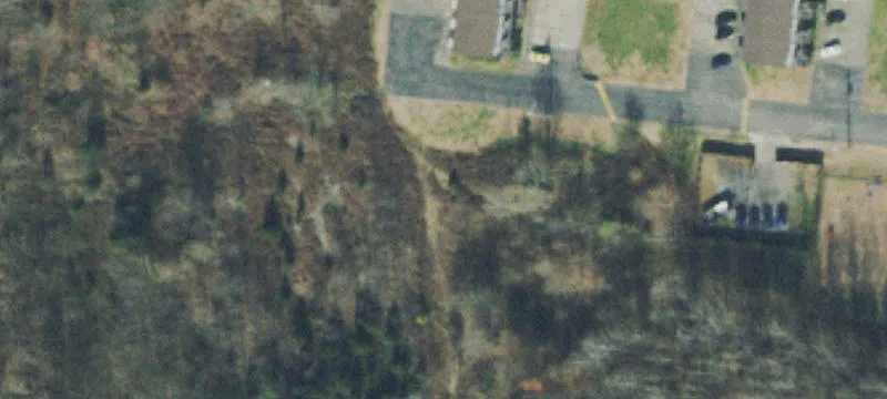 Lewis Dr