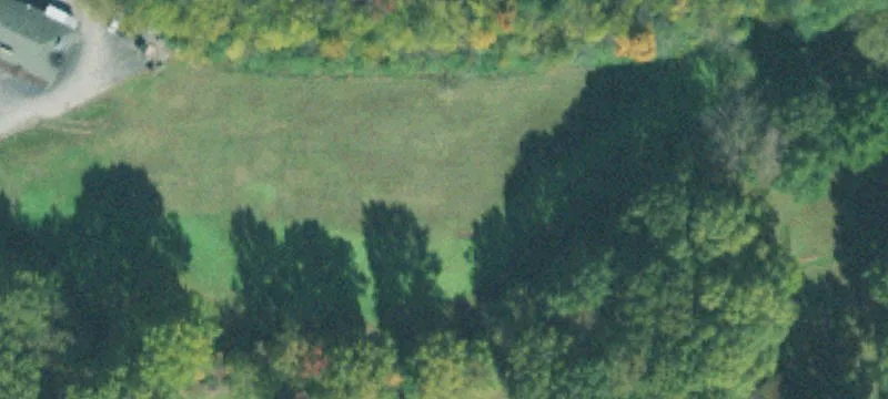 Coleman Dr