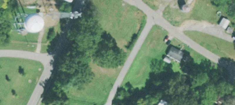 Forrest Ave