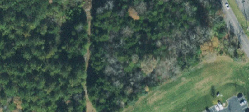 Cedar Ln
