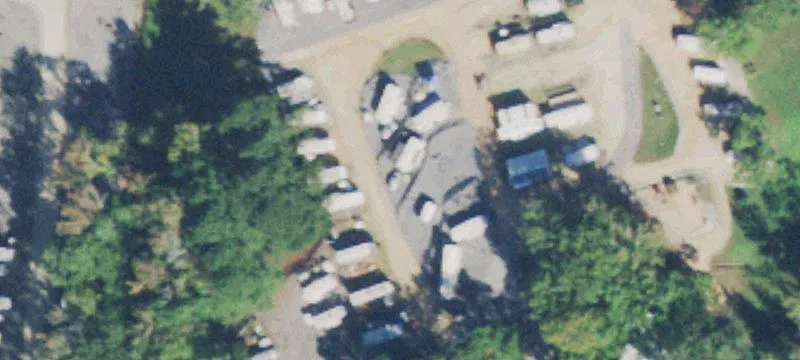 Dogwood Dr