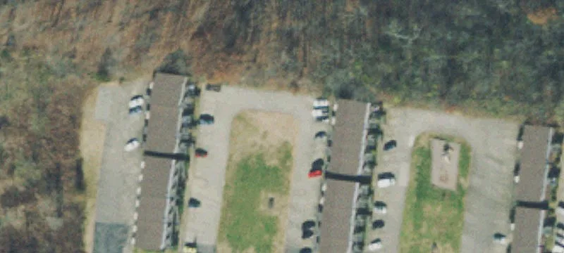 Lewis Dr