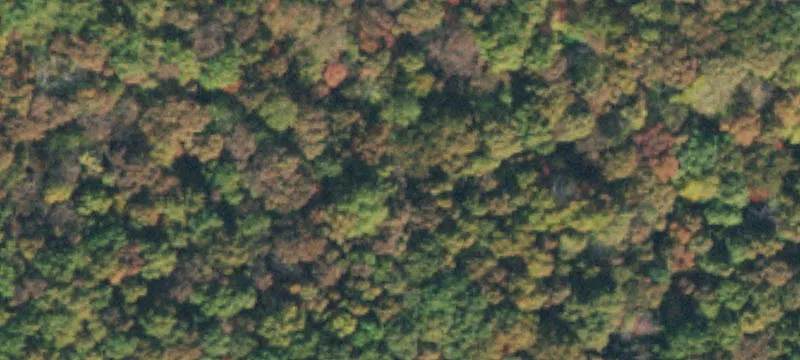 Deer Run