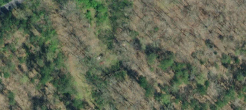 Gobbler Rd