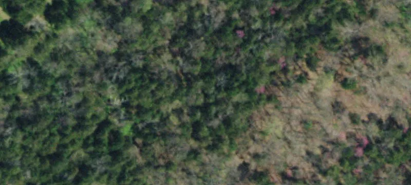Topside Dr