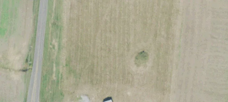 Section Line Rd