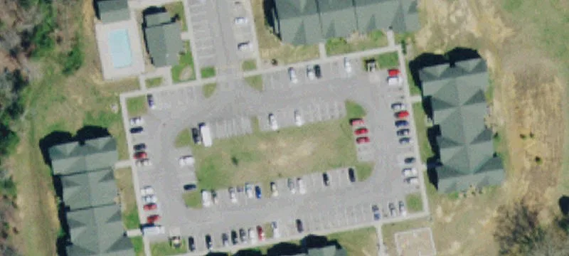 Webster Ln