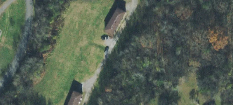 Ellen Dr