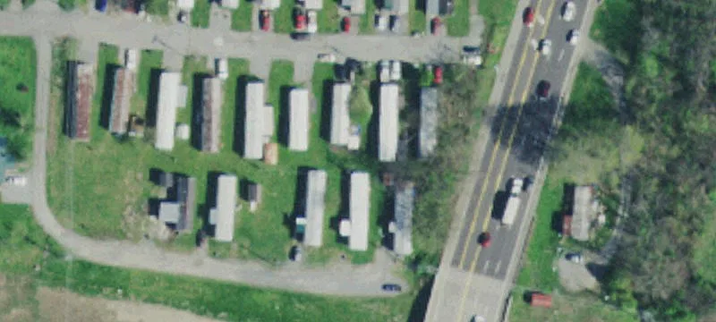 Nichols St
