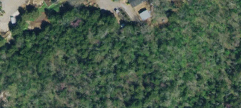 2525 Hwy 11e