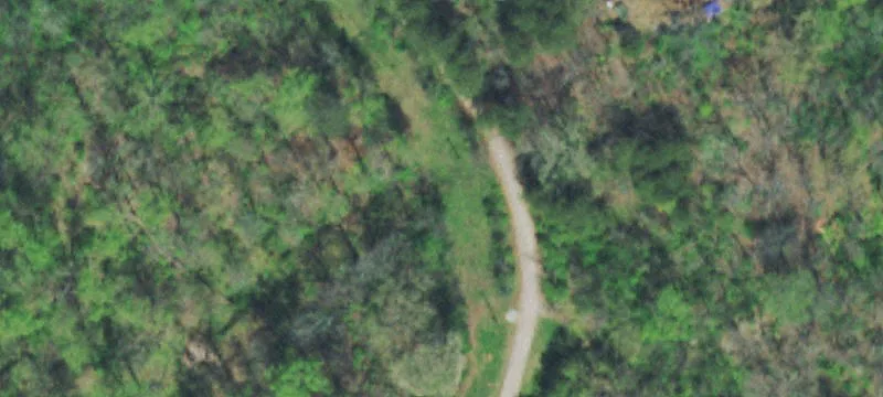 446 Cave Rd