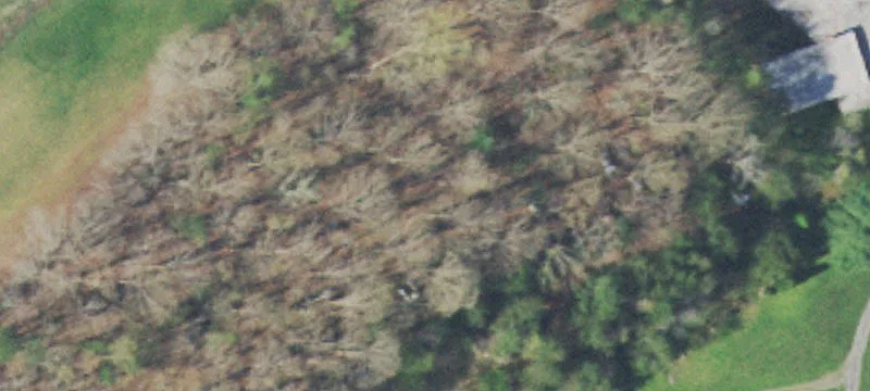 Rocky Spgs Rd