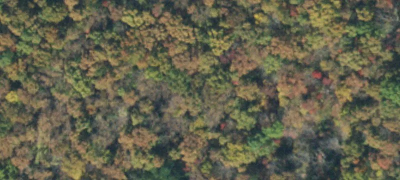 Off Rd Off