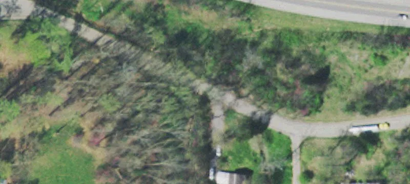 51 Rhyne Rd
