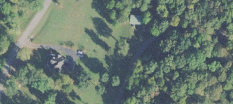 100 Lacey Tyler Loop