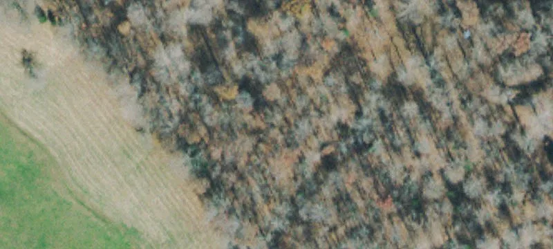 Bryant Holw Rd