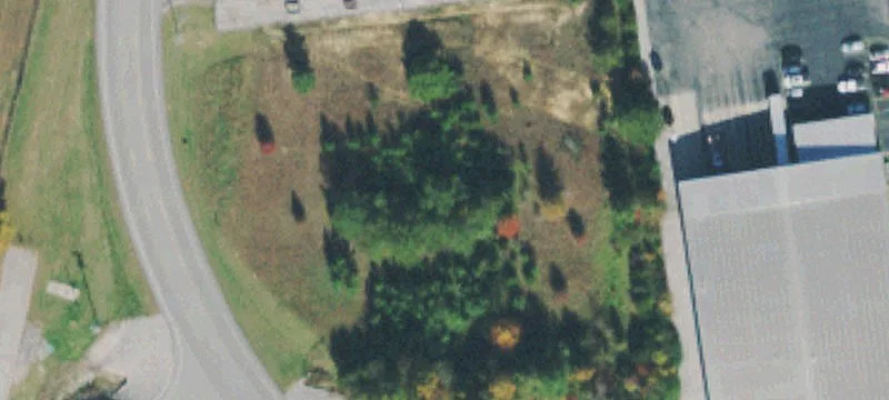 Burton Branch