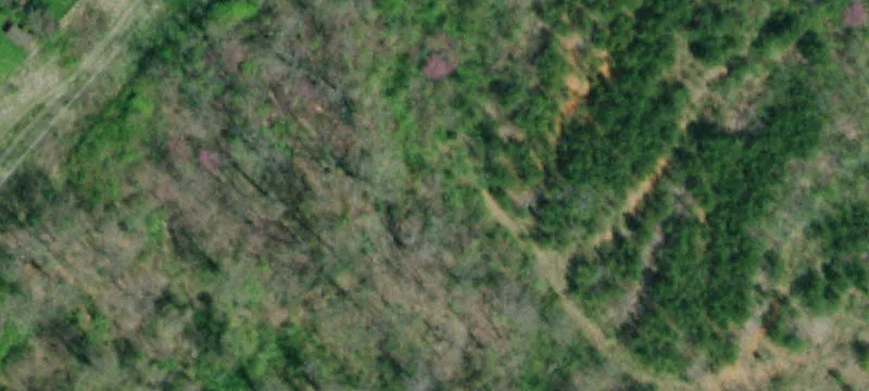 Bristol Hwy
