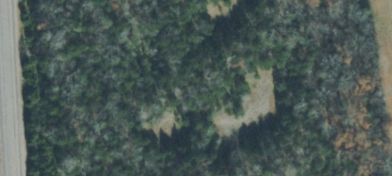 175 Bill France Rd