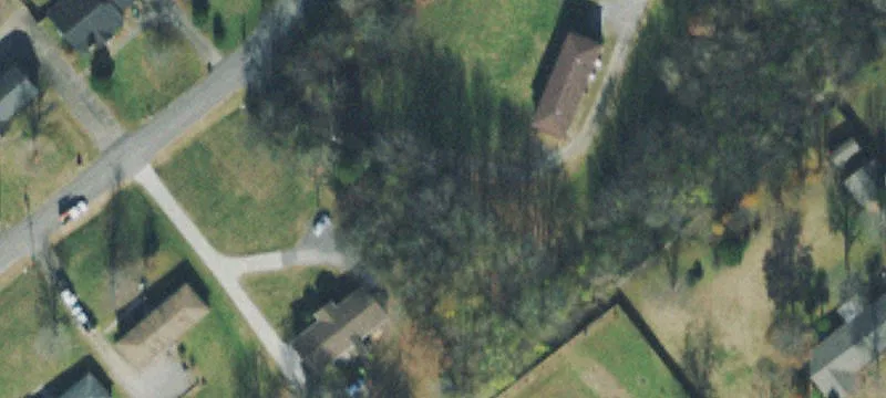 Ellen Dr