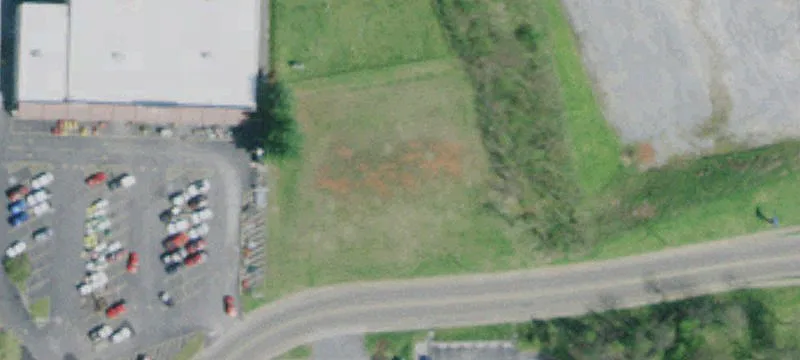 Elk Ave