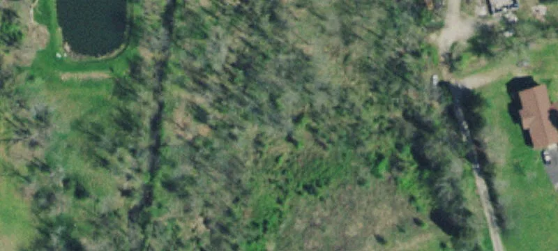 Foothills Dr
