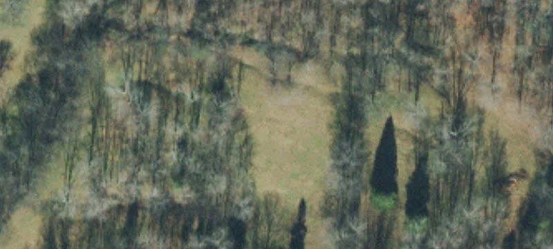 336 Robertson Rd