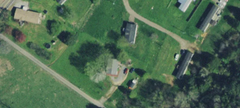 Newt Reagan Rd