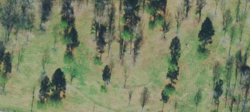Cowan Rd