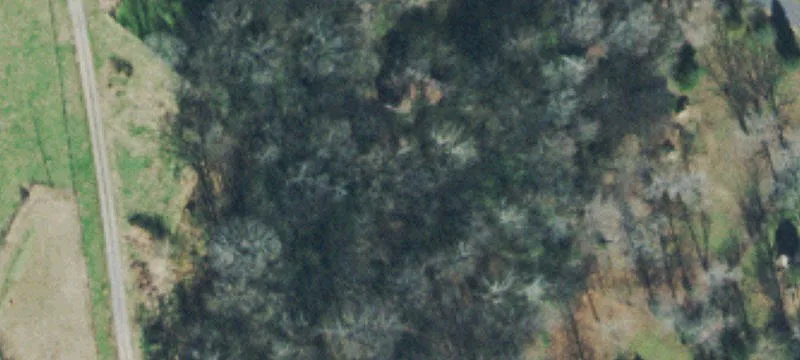 Old Coopertown Rd