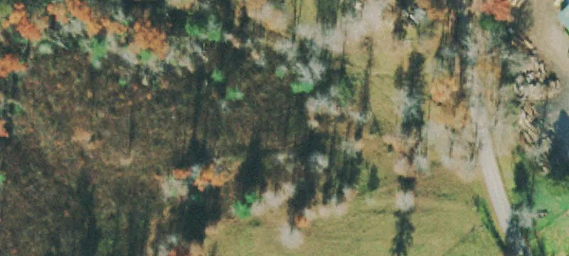 985 Shady Grv Rd