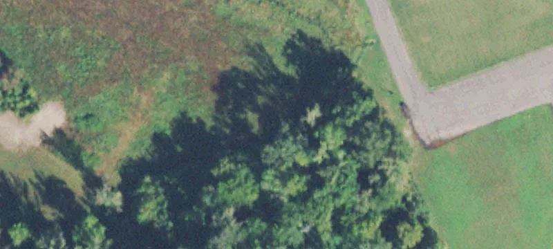Shamrock Rd