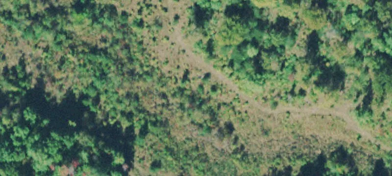 Long Br Rd