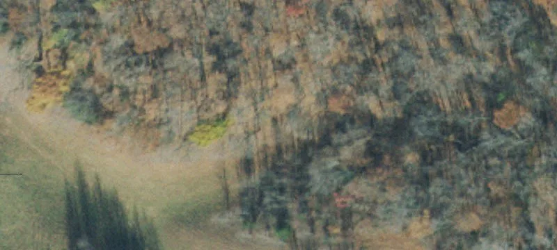 Ledford Ml Rd