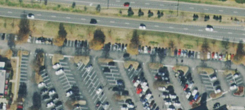 98 Maryland Farms