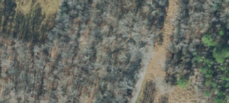 Gin Rd Twr Site