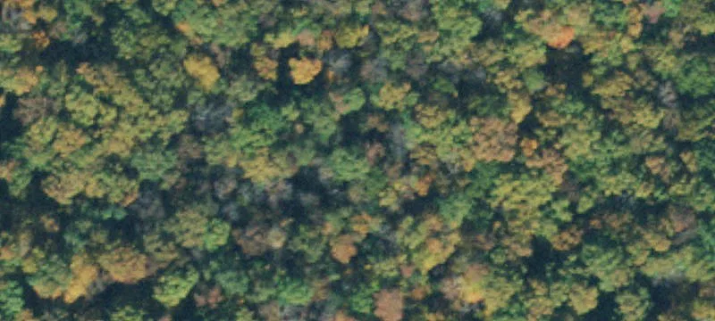 Sewanee Hwy