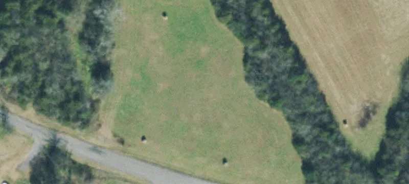 1 Franke Blvd