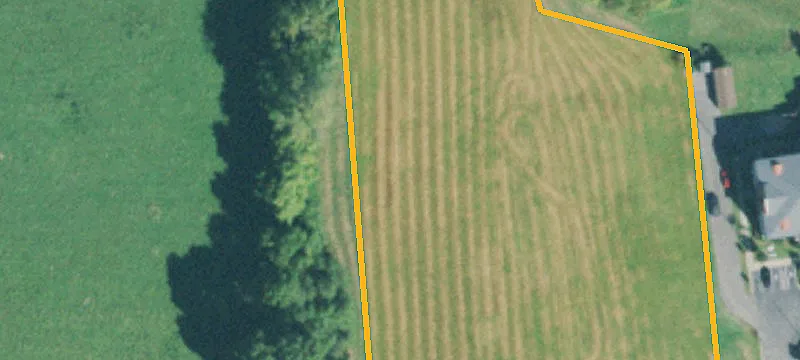 Reelfoot Dr